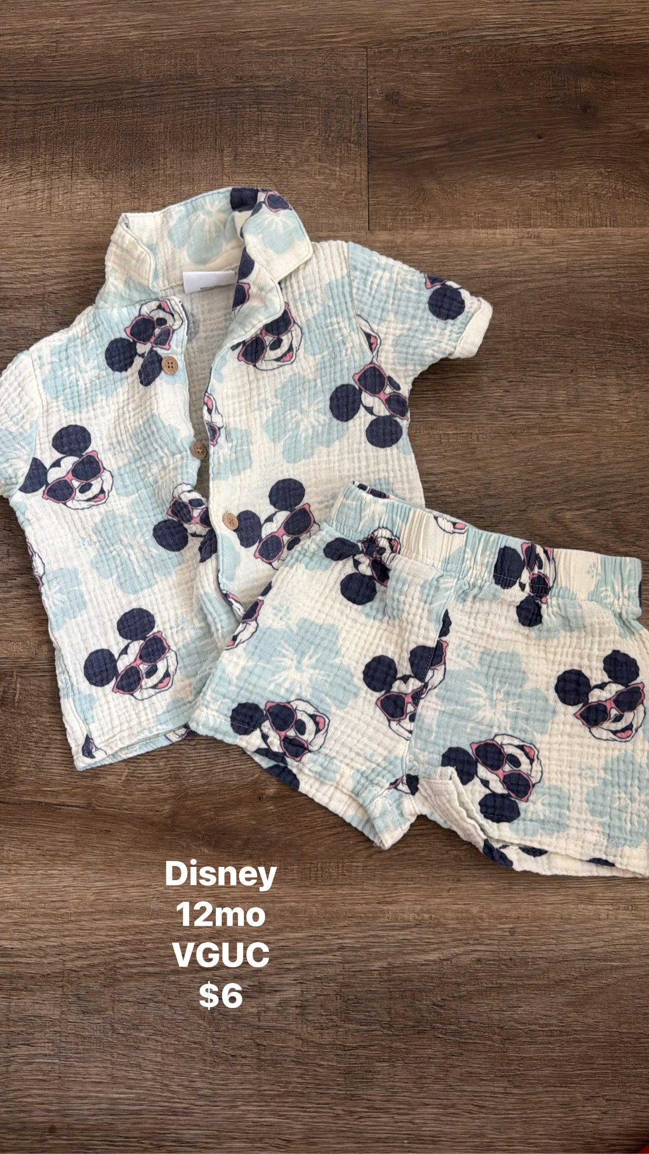 Disney 12mo