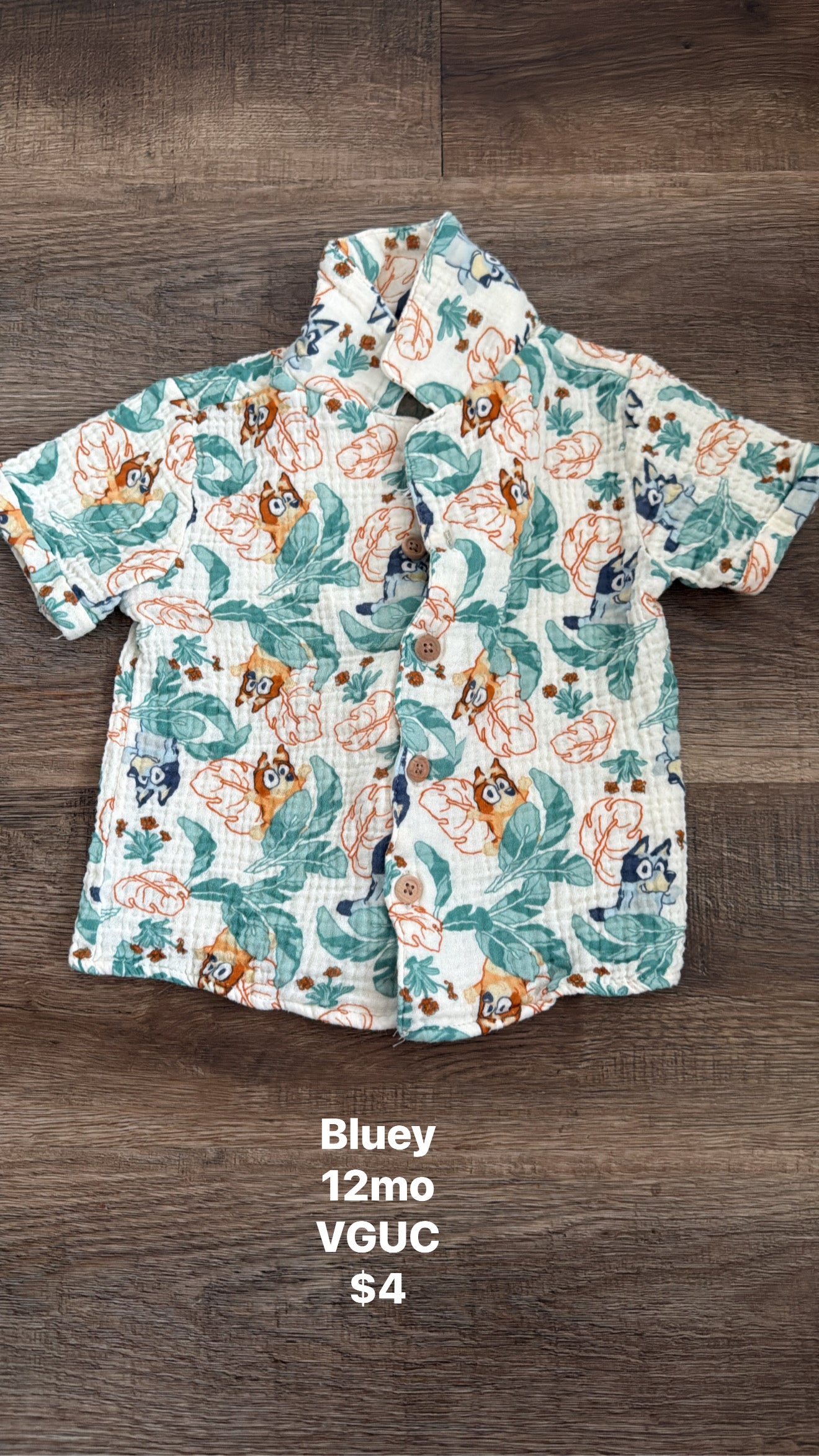 Bluey 12mo