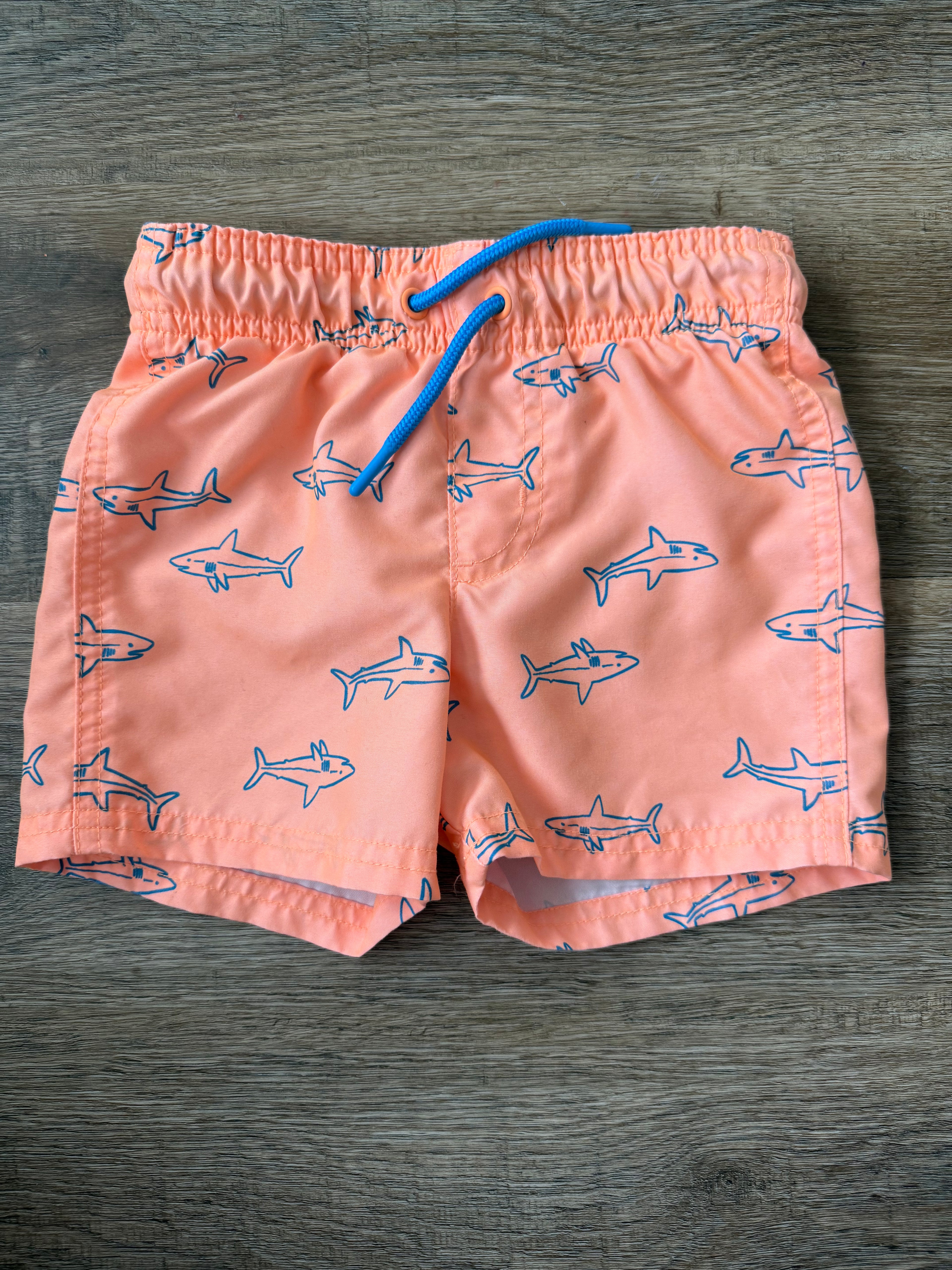 Cat and Jack Swim 2t