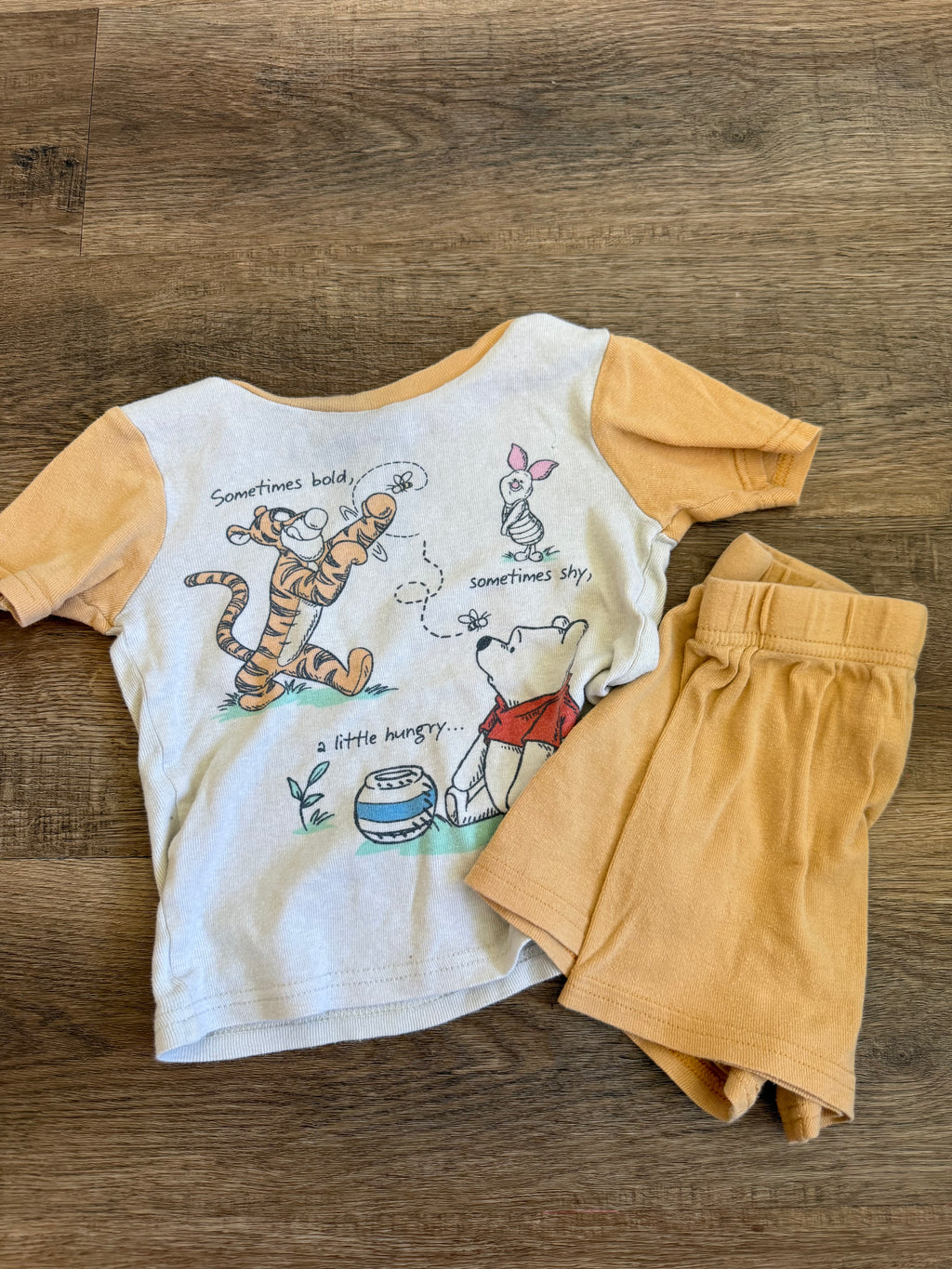 Winnie the Pooh 3t